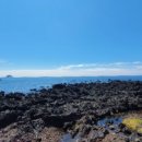 헬스케어차이나타운 이미지