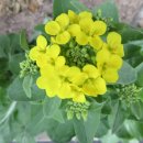 둥지식당 이미지