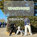 만석펜션 | 제주 오설록 1월 후기｜녹차밭 산책+주차 꿀팁, 다담채 펜션 숙박과 찰떡 코스