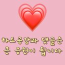 강화도 숲카페 메타포레스트 뷰맛집 방문후기