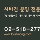 LOUISMONG(루이몽) 네이버블로그