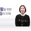 법인설렘
