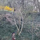 정원카서비스 이미지