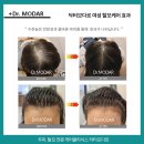 모다르헤어 네이버블로그