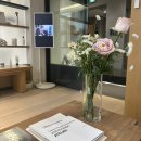 우정희헤어 | 강남역미용실 차홍룸강남대로점 톤다운염색 우정희디자이너 발레아쥬염색 후기