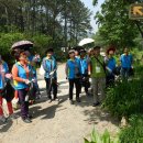 2014년 5월29일(목)안양시 자원봉사쎈타 자원봉사자 숲해설 이미지