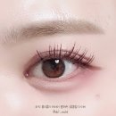 젤라또팔레트 이미지
