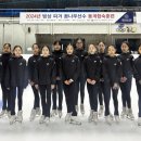 합동모터스