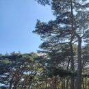 오늘도콩닭콩닭 이미지