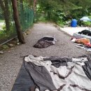 내리계곡 솔밭캠핑장 이미지