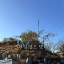 블루아일랜드 캠핑장 | 키즈캠핑장 서천 블루아일랜드 캠핑장 솔직후기