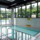 기린 캠프랜드 이미지