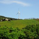 큰집목장 이미지