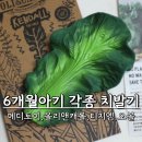 6개월 구강기 아기 치발기 사용 후기 (메디토이, 올리앤캐롤, 티지엠, 오볼)