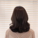 로에제헤어