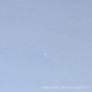 광장숯불갈비 이미지