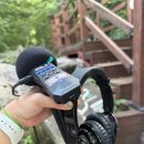 요산김정한선생의 모 | 부산 아이랑 가볼만한곳 금정산 소울 트레일, 웰니스 힐링 체험 리얼 후기 (feat. 사찰음식)