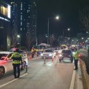세종피싱 이미지