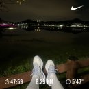 (주)하율투어 | 만 29세 일상