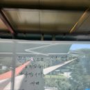 청년피자휘닉스파크점 이미지