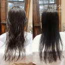 토리헤어아라점 | 소하동미용실 무드셀라헤어살롱, 시세이도 클리닉 후기