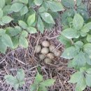 민균농장 이미지