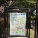 숲속개울가 | 나고야 가볼 만한 곳 / 노리타케의 숲 / 이온몰 츠타야 서점