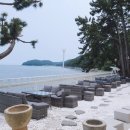 카페드몽돌