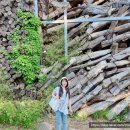 정동캐슬호텔 이미지