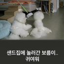 까페수 이미지