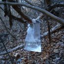 다래유통 이미지