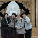 새로 모신 전법륜인 석가모니 부처님을 뵙고... 이미지