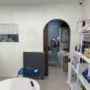 인생댕컷 반려견미용실 이미지