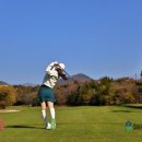 테디벨리 | 제주도 골프장 부킹 요즘 컨디션 좋은 제주 테디벨리cc 후기