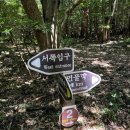 선흘그곶 | [제주 동쪽 여행] 선흘곶자왈 생태 탐방 '동백동산・먼물깍' 방문기