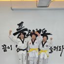 인성품태권도장 이미지
