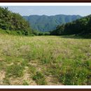 분지농장 이미지