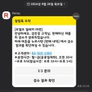오엘오(OLO)