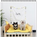 봉자쿠키 이미지