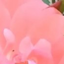 반포2동 주민센터 지하1층 이미지