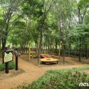 은천동-29 이미지