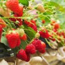 엔젤맘어린이집 이미지