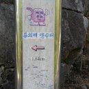 웅양초등학교 이미지