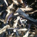 장화농장5 이미지