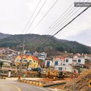 청해삼소리정 이미지