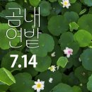 (주)곰내마을