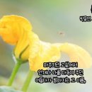 춘자 생각 / 박용연 (낭송 : 김향자) ＜시공간 4집 동인지 '톡 하실래요' 중에서 ＞ 이미지