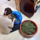 SG스크린골프도청점 | 3