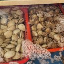 파도소리횟집 이미지