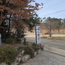 칠천도편백숲 이미지